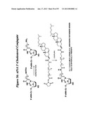 RNA INTERFERENCE MEDIATED INHIBITION OF GENE EXPRESSION USING CHEMICALLY     MODIFIED SHORT INTERFERING NUCLEIC ACID (siNA) diagram and image