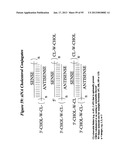 RNA INTERFERENCE MEDIATED INHIBITION OF GENE EXPRESSION USING CHEMICALLY     MODIFIED SHORT INTERFERING NUCLEIC ACID (siNA) diagram and image