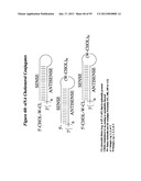 RNA INTERFERENCE MEDIATED INHIBITION OF GENE EXPRESSION USING CHEMICALLY     MODIFIED SHORT INTERFERING NUCLEIC ACID (siNA) diagram and image