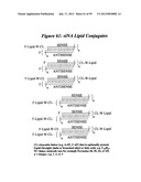 RNA INTERFERENCE MEDIATED INHIBITION OF GENE EXPRESSION USING CHEMICALLY     MODIFIED SHORT INTERFERING NUCLEIC ACID (siNA) diagram and image