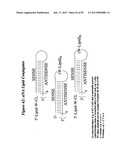 RNA INTERFERENCE MEDIATED INHIBITION OF GENE EXPRESSION USING CHEMICALLY     MODIFIED SHORT INTERFERING NUCLEIC ACID (siNA) diagram and image