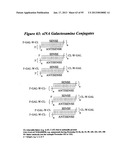 RNA INTERFERENCE MEDIATED INHIBITION OF GENE EXPRESSION USING CHEMICALLY     MODIFIED SHORT INTERFERING NUCLEIC ACID (siNA) diagram and image