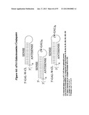 RNA INTERFERENCE MEDIATED INHIBITION OF GENE EXPRESSION USING CHEMICALLY     MODIFIED SHORT INTERFERING NUCLEIC ACID (siNA) diagram and image