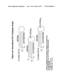 RNA INTERFERENCE MEDIATED INHIBITION OF GENE EXPRESSION USING CHEMICALLY     MODIFIED SHORT INTERFERING NUCLEIC ACID (siNA) diagram and image