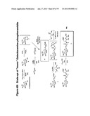 RNA INTERFERENCE MEDIATED INHIBITION OF GENE EXPRESSION USING CHEMICALLY     MODIFIED SHORT INTERFERING NUCLEIC ACID (siNA) diagram and image