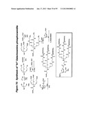 RNA INTERFERENCE MEDIATED INHIBITION OF GENE EXPRESSION USING CHEMICALLY     MODIFIED SHORT INTERFERING NUCLEIC ACID (siNA) diagram and image