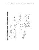 RNA INTERFERENCE MEDIATED INHIBITION OF GENE EXPRESSION USING CHEMICALLY     MODIFIED SHORT INTERFERING NUCLEIC ACID (siNA) diagram and image