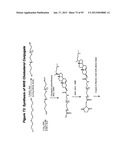 RNA INTERFERENCE MEDIATED INHIBITION OF GENE EXPRESSION USING CHEMICALLY     MODIFIED SHORT INTERFERING NUCLEIC ACID (siNA) diagram and image