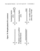 RNA INTERFERENCE MEDIATED INHIBITION OF GENE EXPRESSION USING CHEMICALLY     MODIFIED SHORT INTERFERING NUCLEIC ACID (siNA) diagram and image