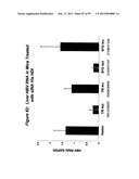 RNA INTERFERENCE MEDIATED INHIBITION OF GENE EXPRESSION USING CHEMICALLY     MODIFIED SHORT INTERFERING NUCLEIC ACID (siNA) diagram and image