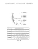 iRNA Agents Targeting VEGF diagram and image