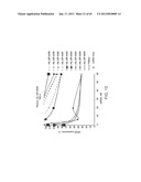 iRNA Agents Targeting VEGF diagram and image