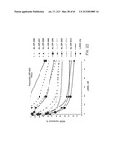 iRNA Agents Targeting VEGF diagram and image