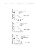 iRNA Agents Targeting VEGF diagram and image