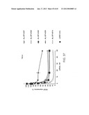 iRNA Agents Targeting VEGF diagram and image