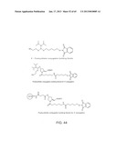 iRNA Agents Targeting VEGF diagram and image