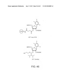 iRNA Agents Targeting VEGF diagram and image