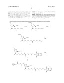 iRNA Agents Targeting VEGF diagram and image