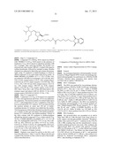 iRNA Agents Targeting VEGF diagram and image