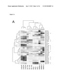 miRNA Compounds for Treatment of Prostate CarcinomaAANM Boll; KerstinAACI LeipzigAACO DEAAGP Boll; Kerstin Leipzig DEAANM Horn; FriedemannAACI LeipzigAACO DEAAGP Horn; Friedemann Leipzig DEAANM Hackermuller; JorgAACI LeipzigAACO DEAAGP Hackermuller; Jorg Leipzig DE diagram and image