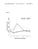 miRNA Compounds for Treatment of Prostate CarcinomaAANM Boll; KerstinAACI LeipzigAACO DEAAGP Boll; Kerstin Leipzig DEAANM Horn; FriedemannAACI LeipzigAACO DEAAGP Horn; Friedemann Leipzig DEAANM Hackermuller; JorgAACI LeipzigAACO DEAAGP Hackermuller; Jorg Leipzig DE diagram and image