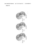 miRNA Compounds for Treatment of Prostate CarcinomaAANM Boll; KerstinAACI LeipzigAACO DEAAGP Boll; Kerstin Leipzig DEAANM Horn; FriedemannAACI LeipzigAACO DEAAGP Horn; Friedemann Leipzig DEAANM Hackermuller; JorgAACI LeipzigAACO DEAAGP Hackermuller; Jorg Leipzig DE diagram and image