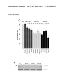 miRNA Compounds for Treatment of Prostate CarcinomaAANM Boll; KerstinAACI LeipzigAACO DEAAGP Boll; Kerstin Leipzig DEAANM Horn; FriedemannAACI LeipzigAACO DEAAGP Horn; Friedemann Leipzig DEAANM Hackermuller; JorgAACI LeipzigAACO DEAAGP Hackermuller; Jorg Leipzig DE diagram and image