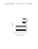 METHOD OF TREATING INFLAMMATORY ARTHROPATHIES WITH SUPPRESSORS OF CPG     OLIGONUCLEOTIDES diagram and image