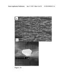 CELLULOSE NANOPARTICLE AEROGELS, HYDROGELS AND ORGANOGELSAANM Thielemans; Wim Albert Wilfried IreneAACI NottinghamAACO GBAAGP Thielemans; Wim Albert Wilfried Irene Nottingham GBAANM Davies; RebeccaAACI NottinghamAACO GBAAGP Davies; Rebecca Nottingham GB diagram and image