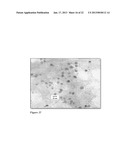 CELLULOSE NANOPARTICLE AEROGELS, HYDROGELS AND ORGANOGELSAANM Thielemans; Wim Albert Wilfried IreneAACI NottinghamAACO GBAAGP Thielemans; Wim Albert Wilfried Irene Nottingham GBAANM Davies; RebeccaAACI NottinghamAACO GBAAGP Davies; Rebecca Nottingham GB diagram and image