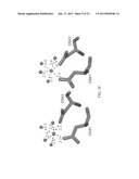 CRYSTALS OF HUMAN TOPOISOMERASE II-DNA BINARY COMPLEX, METHODS FOR     PREPARING THE SAME AND USES THEREOF diagram and image
