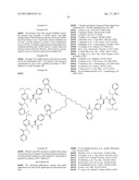 Preparation of Polymer Conjugates of Therapeutic, Agricultural, and Food     Additive Compounds diagram and image