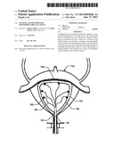 Systems and Methods for Monitoring Organ Activity diagram and image