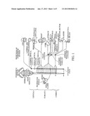 ELECTRICAL STIMULATION OF THE SYMPATHETIC NERVE CHAIN diagram and image