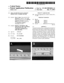 Small Diameter Vascular Graft Produced by a Hybrid Method diagram and image