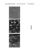 Small Diameter Vascular Graft Produced by a Hybrid Method diagram and image
