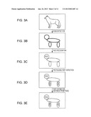 IMAGE CAPTURING APPARATUS AND IMAGE-CAPTURE CONTROL PROGRAM PRODUCT diagram and image