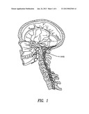 METHODS TO FACILITATE TRANSMISSION OF LARGE MOLECULES ACROSS THE     BLOOD-BRAIN, BLOOD-EYE, AND BLOOD-NERVE BARRIERS diagram and image