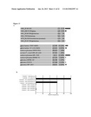 Antibodies Directed To GPNMB And Uses Thereof diagram and image