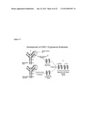 Antibodies Directed To GPNMB And Uses Thereof diagram and image