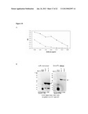 Antibodies Directed To GPNMB And Uses Thereof diagram and image