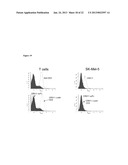 Antibodies Directed To GPNMB And Uses Thereof diagram and image