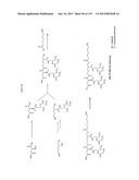ACYL PSEUDOPEPTIDES WHICH CARRY A FUNCTIONALIZED AUXILIARY ARM diagram and image