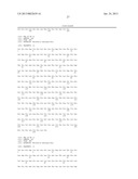 EXPRESSION OF MENINGOCOCCAL FHBP POLYPEPTIDES diagram and image