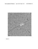 BIOMIMETIC HYDROXYAPATITE SYNTHESIS diagram and image