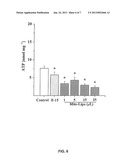 METHODS AND COMPOSITIONS FOR TRANSFER OF MITOCHONDRIA INTO MAMMALIAN CELLS diagram and image