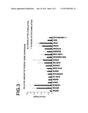 Expression Modulator For Clock Gene Period diagram and image