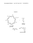 OLIGOSACCHARIDE/SILICON-CONTAINING BLOCK COPOLYMERS FOR LITHOGRAPHY     APPLICATIONS diagram and image