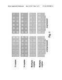 YEAST CELLS EXPRESSING AMYLOID BETA AND USES THEREFOR diagram and image