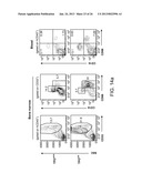 GENETICALLY MODIFIED MICE AND ENGRAFTMENT diagram and image